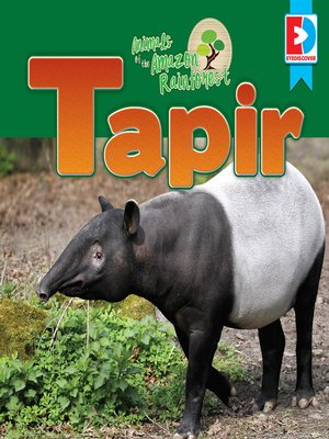 cover image of Animals of the Amazon Rainforest: Tapir